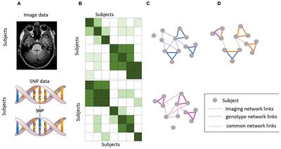 Fused multi-modal similarity network as prior in guiding brain imaging genetic association